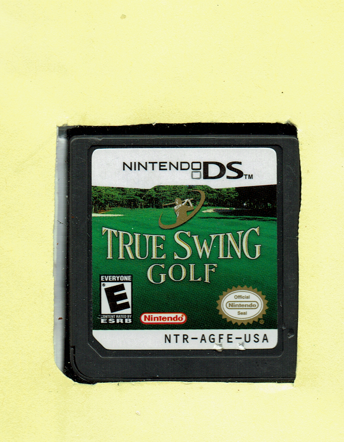 True Swing Golf